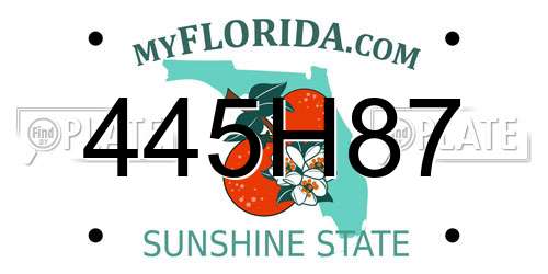 445H87 Florida License Plate
