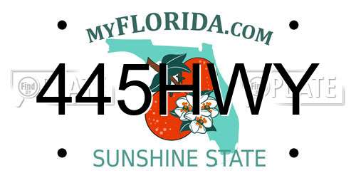 445HWY Florida License Plate