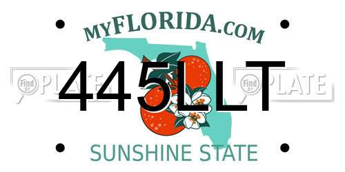 445LLT Florida License Plate