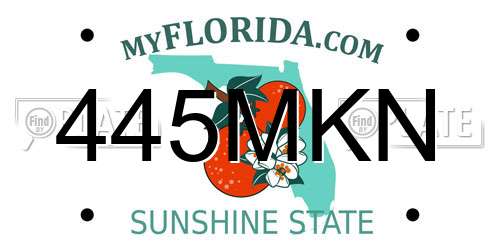 445MKN Florida License Plate
