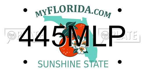 445MLP Florida License Plate