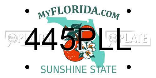 445PLL Florida License Plate
