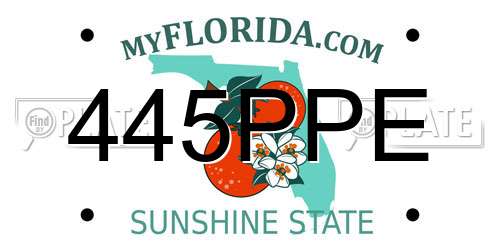 445PPE Florida License Plate