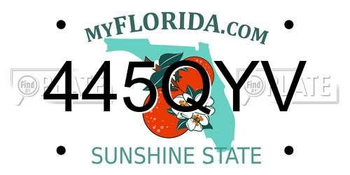 445QYV Florida License Plate