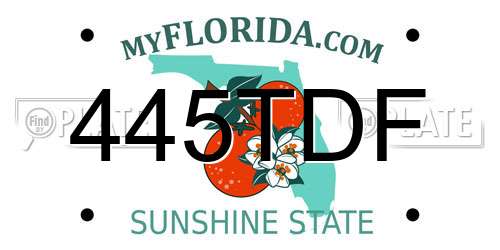 445TDF Florida License Plate
