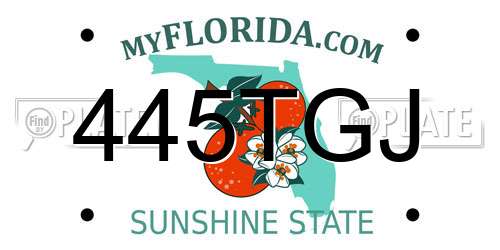 445TGJ Florida License Plate