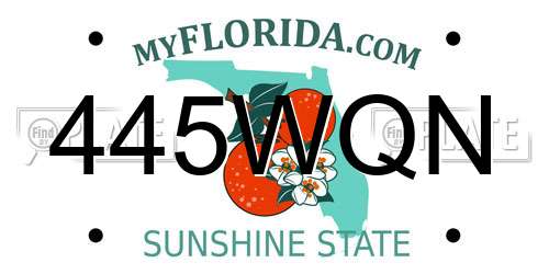 445WQN Florida License Plate