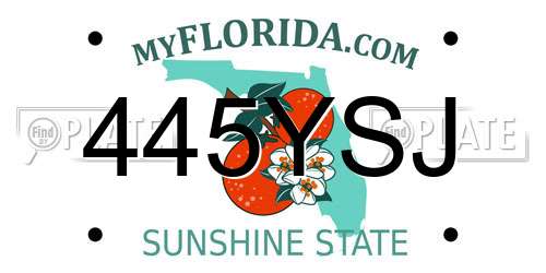 445YSJ Florida License Plate