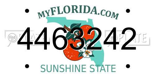 4463242 Florida License Plate