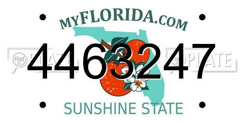 4463247 Florida License Plate