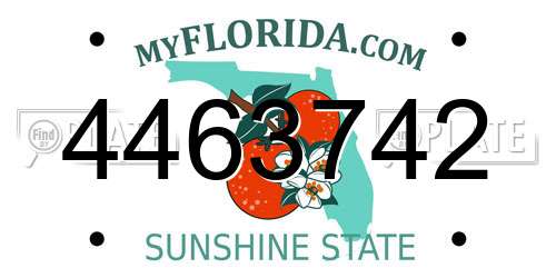 4463742 Florida License Plate