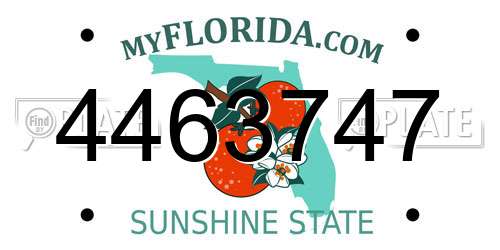 4463747 Florida License Plate