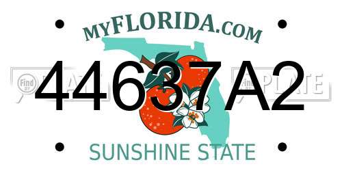 44637A2 Florida License Plate