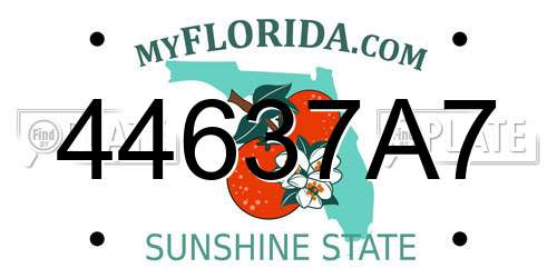 44637A7 Florida License Plate