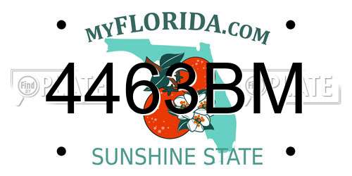 4463BM Florida License Plate