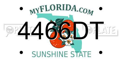4466DT Florida License Plate