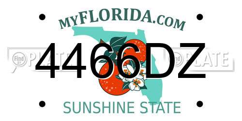 4466DZ Florida License Plate