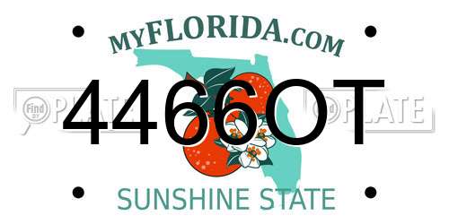 4466OT Florida License Plate