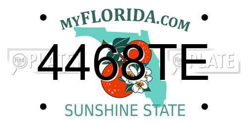 4468TE Florida License Plate