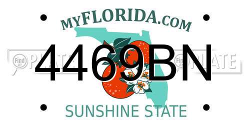 4469BN Florida License Plate