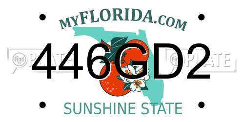 446GD2 Florida License Plate