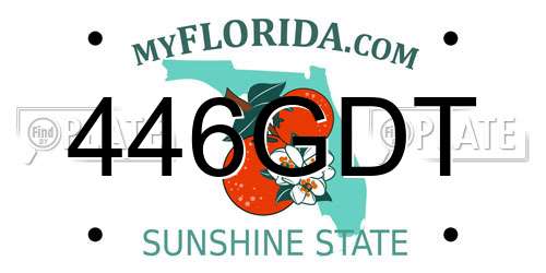 446GDT Florida License Plate