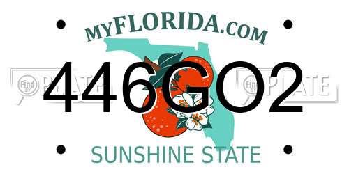 446GO2 Florida License Plate