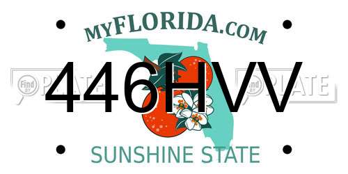 446HVV Florida License Plate
