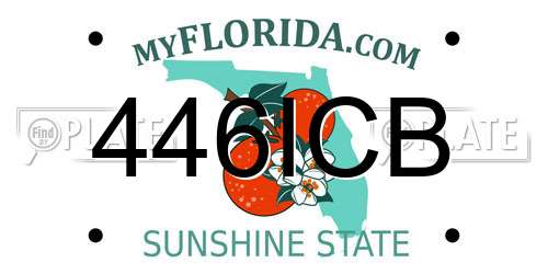 446ICB Florida License Plate