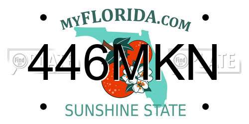 446MKN Florida License Plate