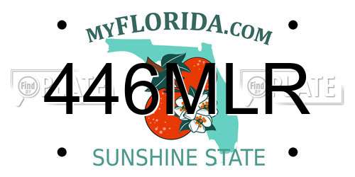 446MLR Florida License Plate