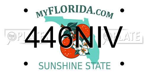 446NIV Florida License Plate
