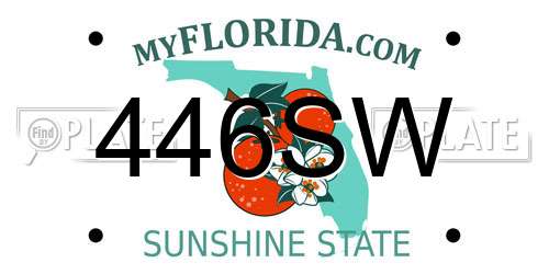 446SW Florida License Plate