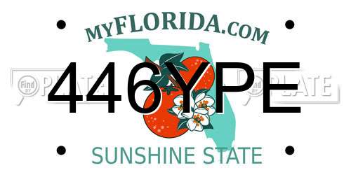 446YPE Florida License Plate
