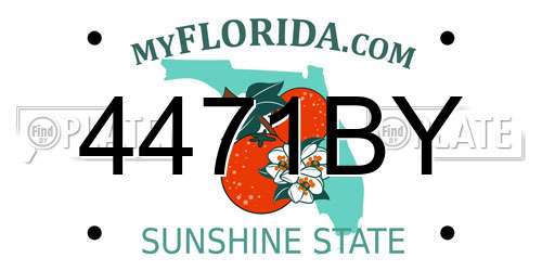 4471BY Florida License Plate