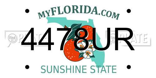 4478UR Florida License Plate