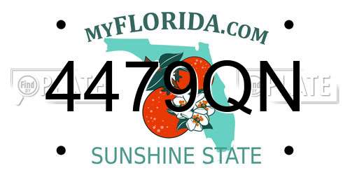 4479QN Florida License Plate