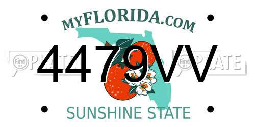 4479VV Florida License Plate