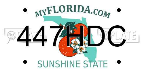447HDC Florida License Plate