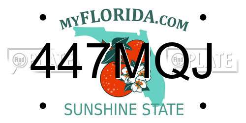 447MQJ Florida License Plate