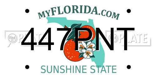 447PNT Florida License Plate