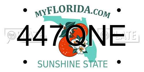 447QNE Florida License Plate