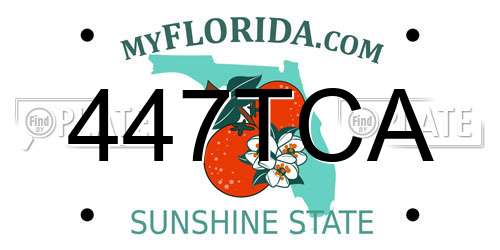 447TCA Florida License Plate