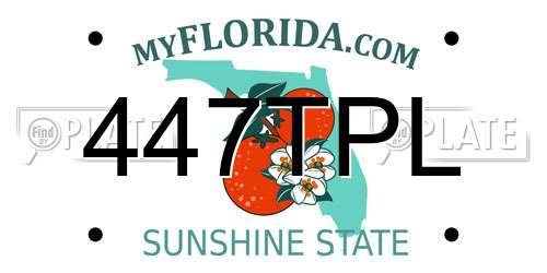 447TPL Florida License Plate