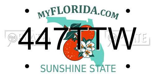 447TTW Florida License Plate