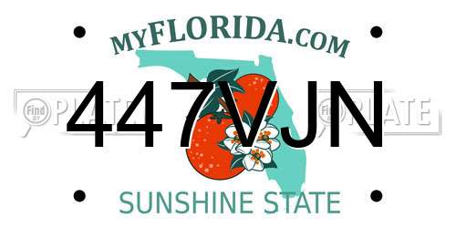447VJN Florida License Plate