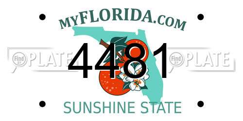 4481 Florida License Plate