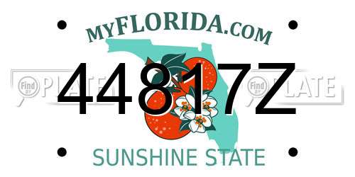 44817Z Florida License Plate