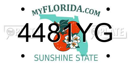 4481YG Florida License Plate