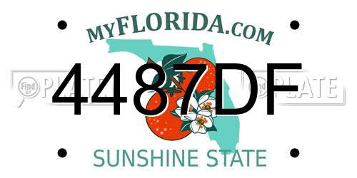 4487DF Florida License Plate